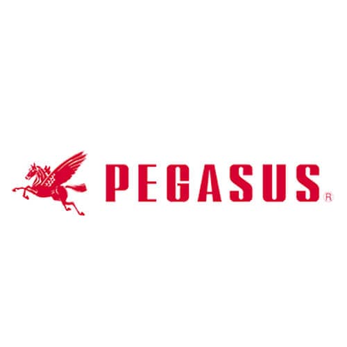 Pegasus